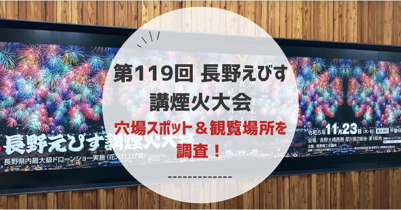 第119回 長野えびす講煙火大会