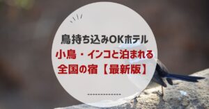 鳥持ち込みOKホテル|小鳥・インコと泊まれる全国の宿【最新版】